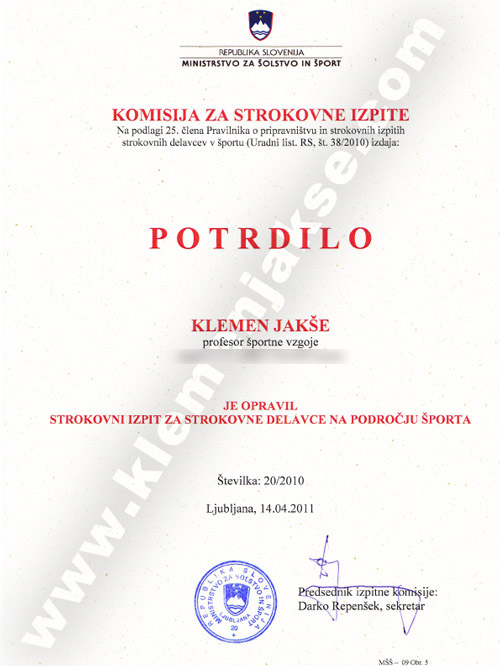 diplomastrokovniizpit